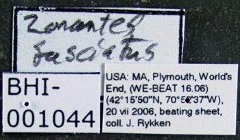 Media type: image;   Entomology 613379 Aspect: labels